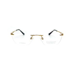CH TITANIUM PERFECT Optical Frame
