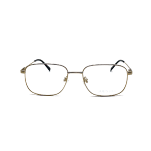 Aristar Man Optical Frame